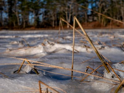 Frozen right triangles