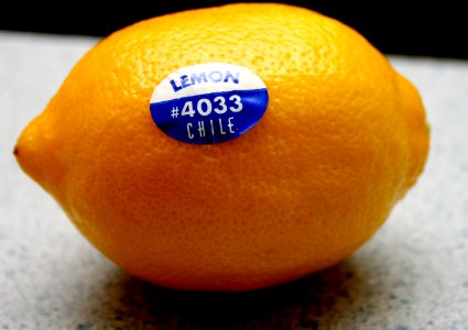 Lemon from Chile photo
