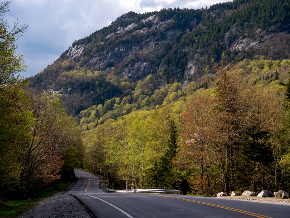 Springish Scenic Route
