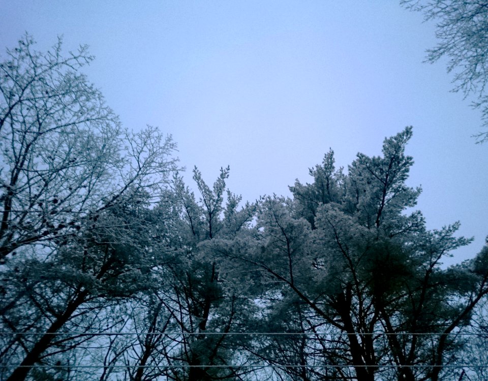 The Wintry Goodbye