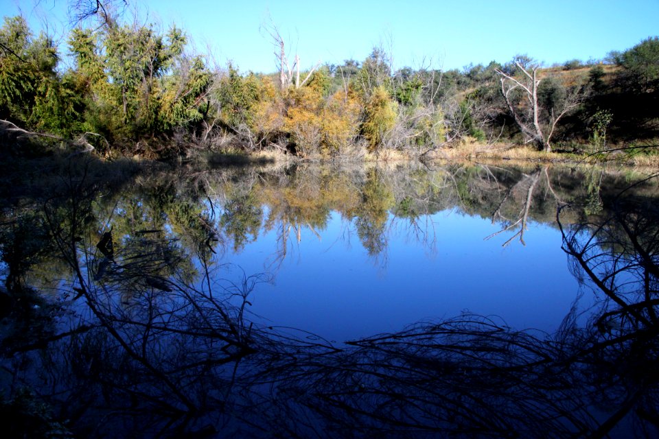 PENA BLANCA LAKE (11-2-10) west of nogales, scc, az -01
