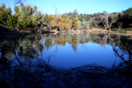 PENA BLANCA LAKE (11-2-10) west of nogales, scc, az -01
