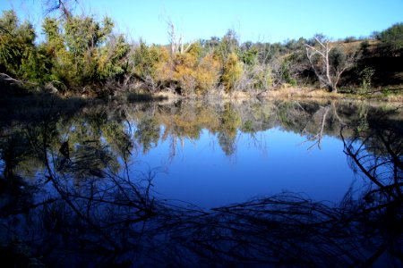 PENA BLANCA LAKE (11-2-10) west of nogales, scc, az -01 photo