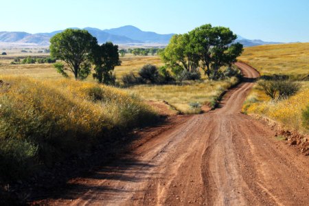 SAN RAFAEL VALLEY GRASSLANDS, SE of Patagonia, scc, az (10-10-10) -13 photo