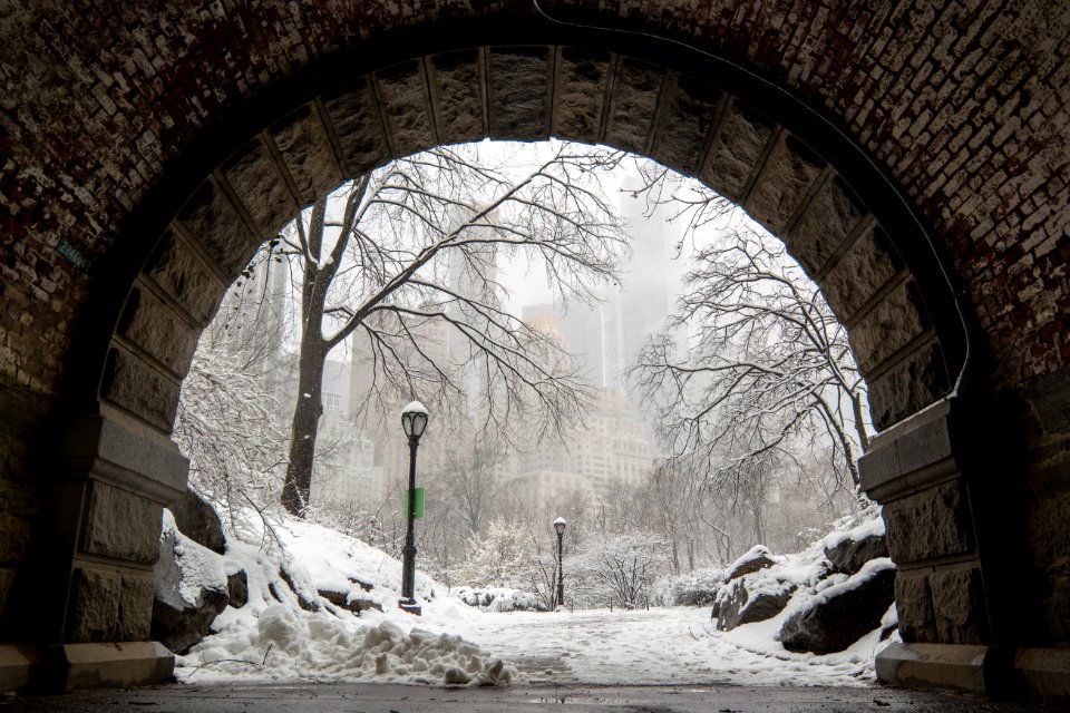 Inscope Arch (Central Park)
