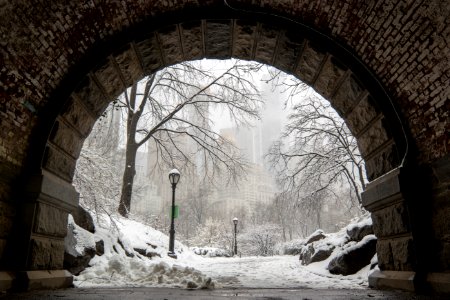 Inscope Arch (Central Park) photo