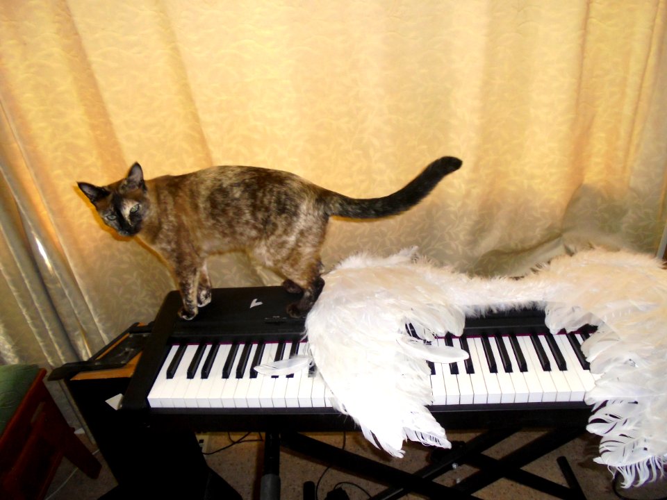 Cleopatra with my piano and angels wings