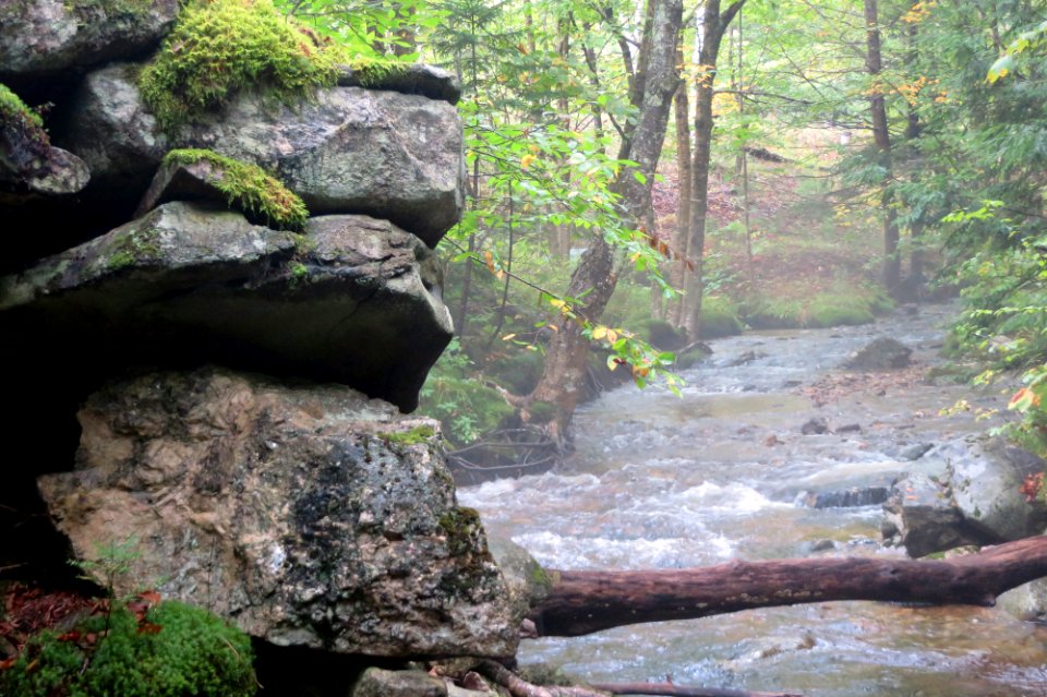 Abandoned Road River - Grafton Notch SP - Maine