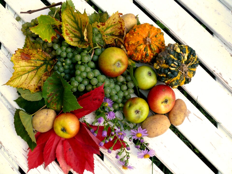 Thanksgiving grapes apple