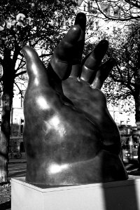 Big boned hand
