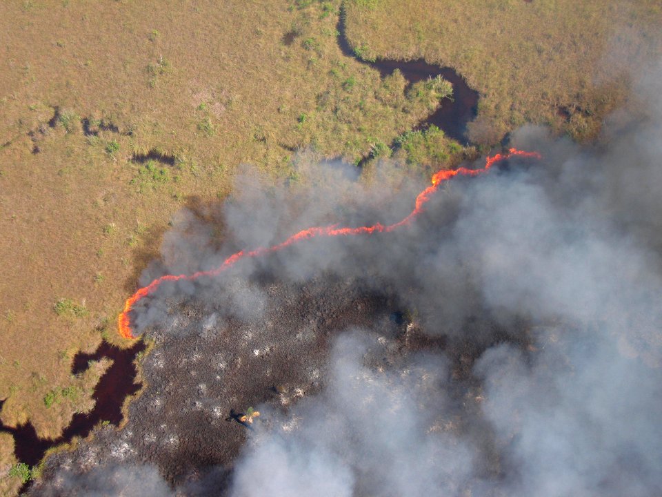 Coastal Prairie Burn40
