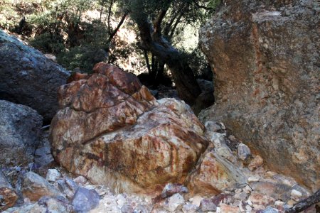 UPPER FLUX CANYON, Patagonia Hills, scc, az (9-25-10) -16
