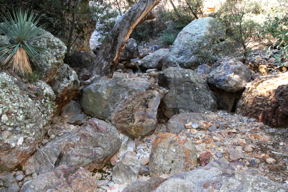 UPPER FLUX CANYON, Patagonia Hills, scc, az (9-25-10) -13