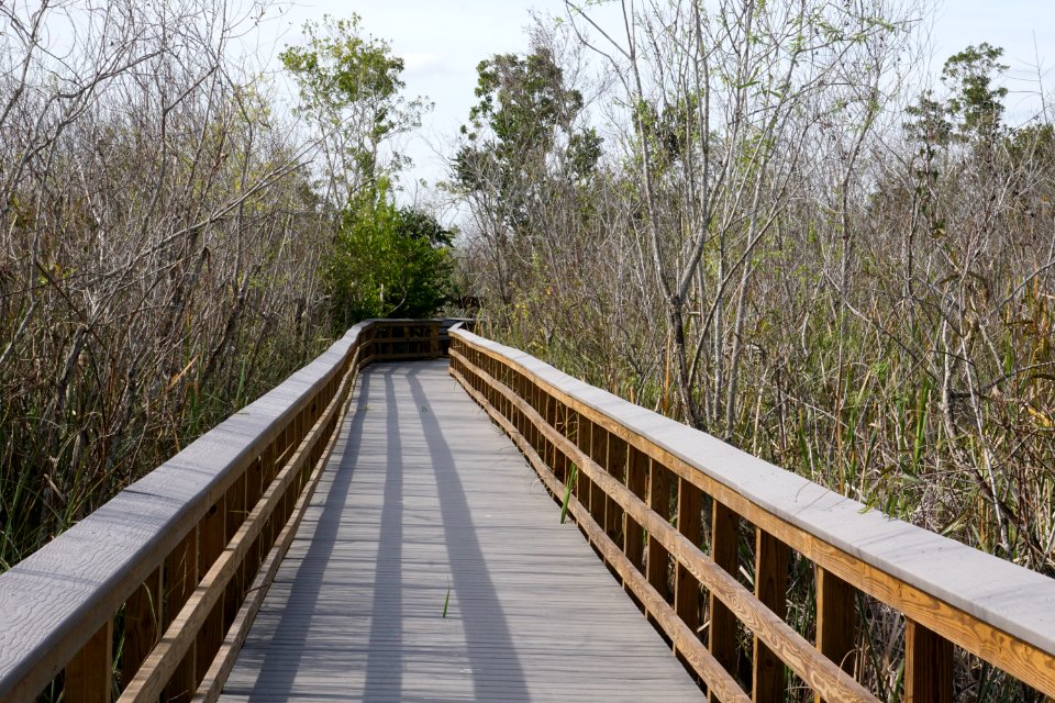Bobcat Boardwalk
