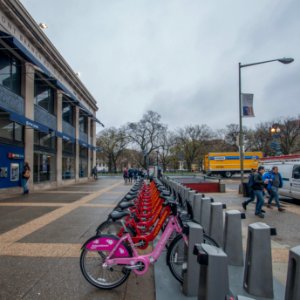 caught the bike in bloom docked at Dupont Circle photo