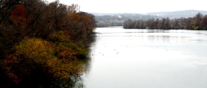 Lady Bird Lake photo