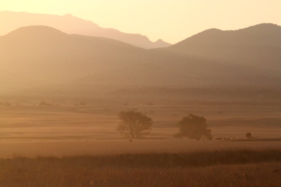 SAN RAFAEL VALLEY GRASSLANDS, SE of Patagonia, scc, az (5-7-11) -01