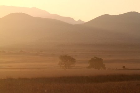 SAN RAFAEL VALLEY GRASSLANDS, SE of Patagonia, scc, az (5-7-11) -01 photo