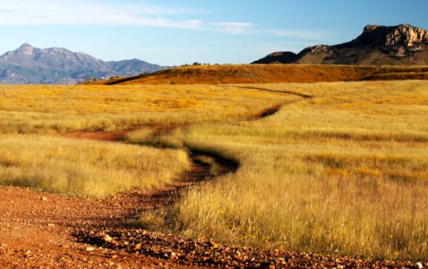 SAN RAFAEL VALLEY GRASSLANDS, SE of Patagonia, scc, az (10-10-10) -02 photo