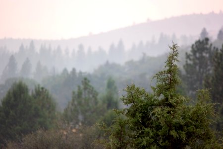 Smoke from fires in Northern California photo