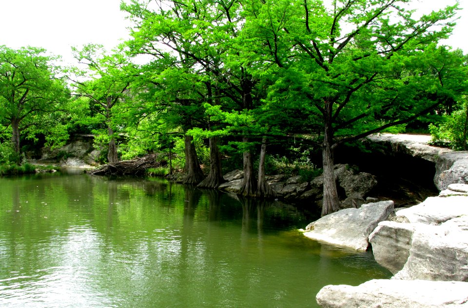 View from the Falls.