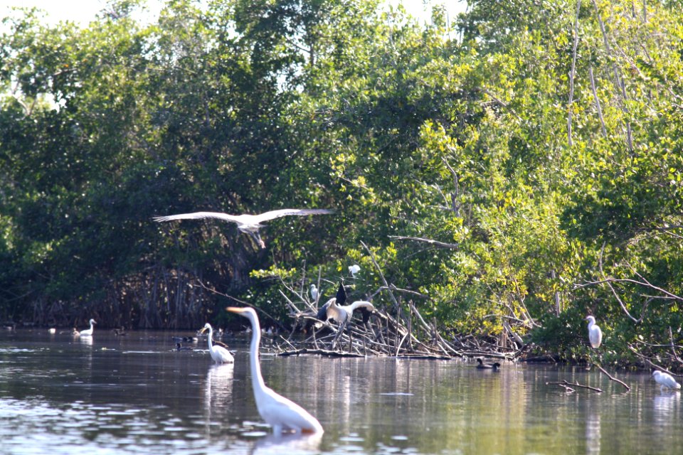 Mrazek Pond