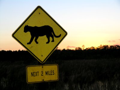 Florida Panther Crossing, NPSPhoto