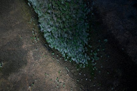 Aerial of Everglades National Park