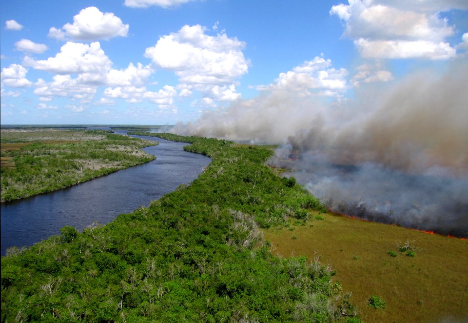 Coastal Prairie Burn10