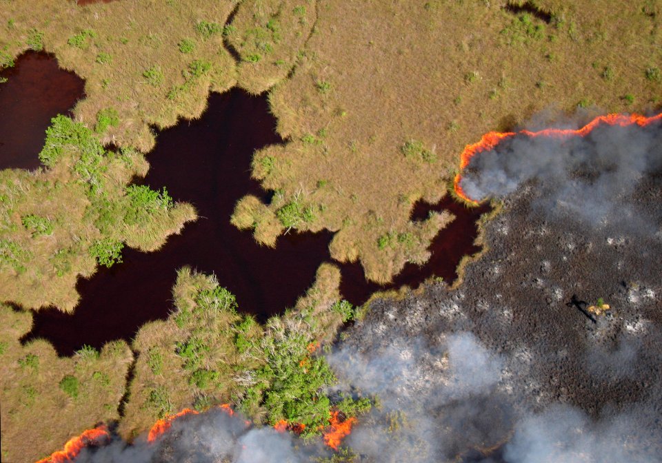 Coastal Prairie Burn42