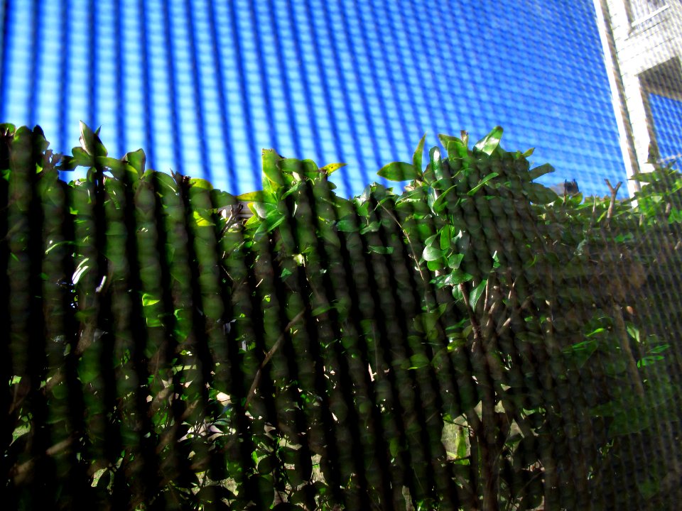 Screening My View