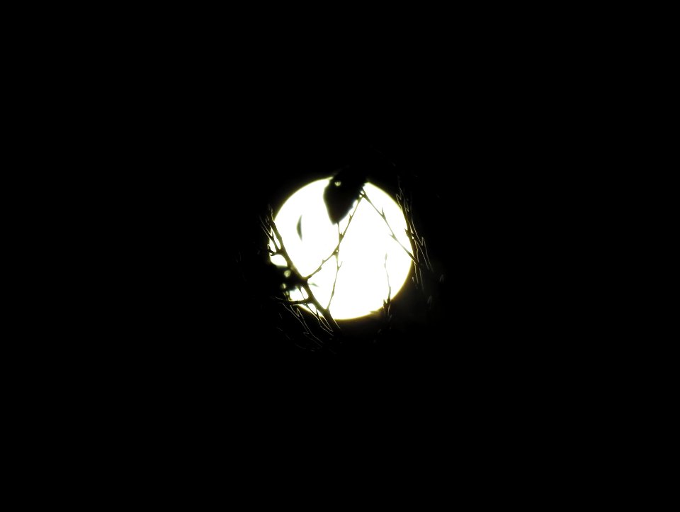 Supermoon Abstracts (1)
