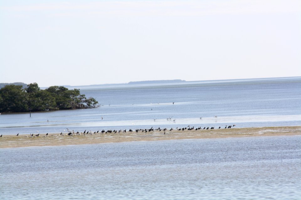 Florida Bay