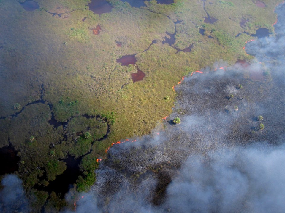 Coastal Prairie Burn37