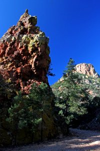 UPPER FLUX CANYON, Patagonia Hills, scc, az (9-25-10) -07