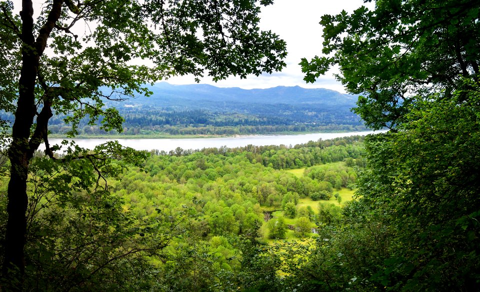 Multnomah-Falls-Columbia-Gorge-100 3610-Pano