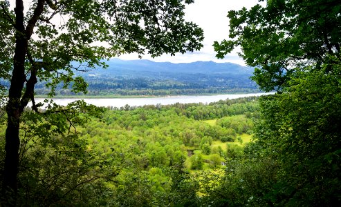 Multnomah-Falls-Columbia-Gorge-100 3610-Pano photo