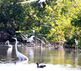 Mrazek Pond