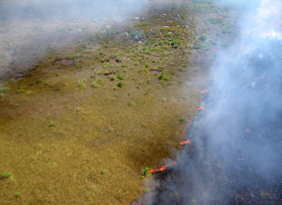 Coastal Prairie Burn11