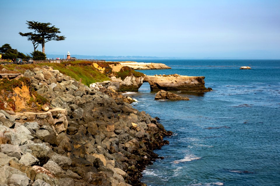 view from West Cliff Tree