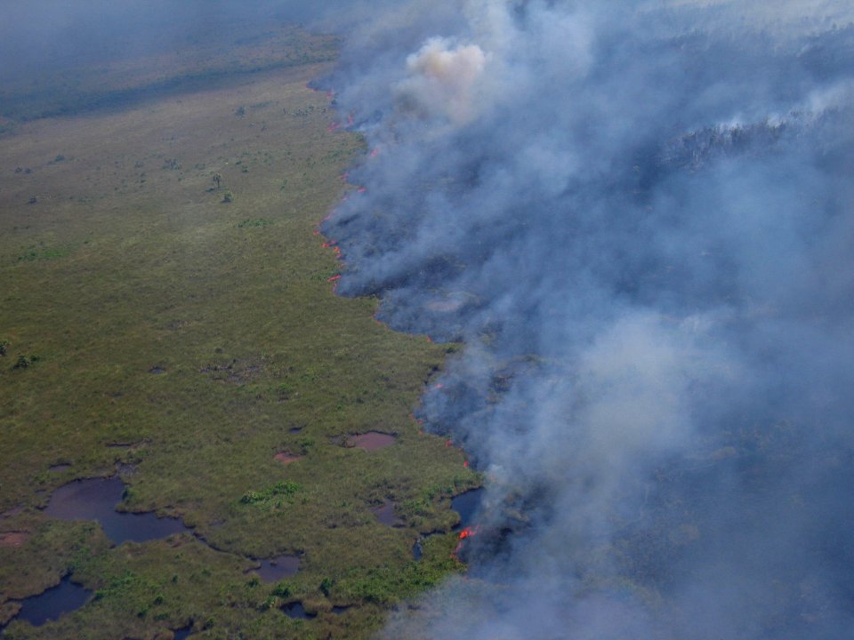 Coastal Prairie Burn41