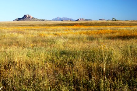 SAN RAFAEL VALLEY GRASSLANDS, SE of Patagonia, scc, az (9-24-10) -01 photo