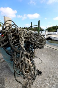 NPSPhoto M.Collier 2019 CS BeachClean WeighingTrash (9)