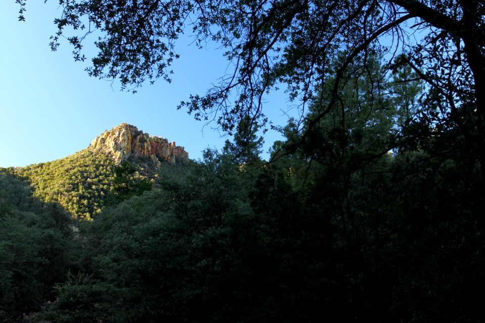 UPPER FLUX CANYON, Patagonia Hills, scc, az (9-25-10) -01
