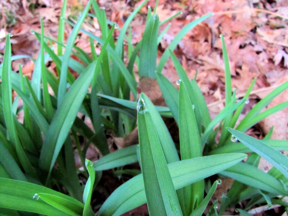 1 March 2012 256