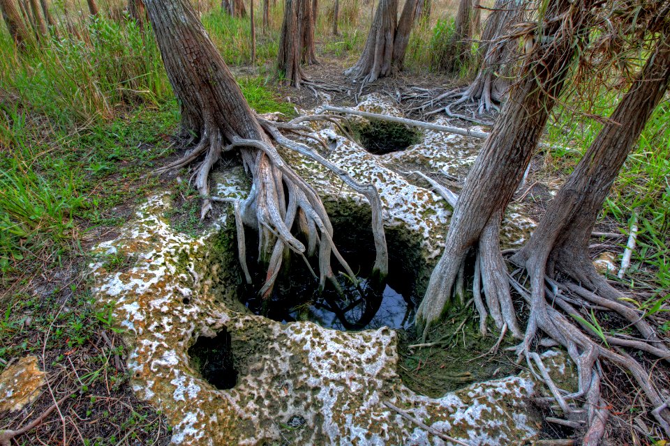 Solution hole, NPSphoto, G.Gardner