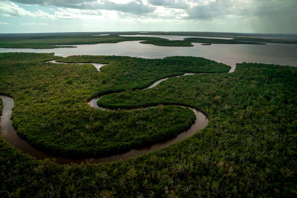 Everglades Wilderness