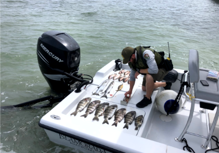 Park Ranger measures fish on a boat