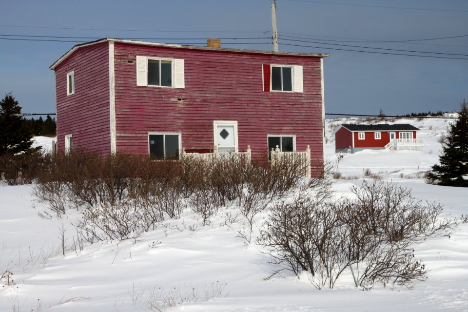 2011 - FEB 12 - 22 - NEWFOUNDLAND -048 Fermeuse