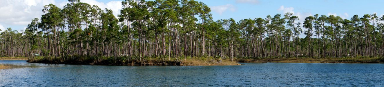 Long Pine Key Panorama